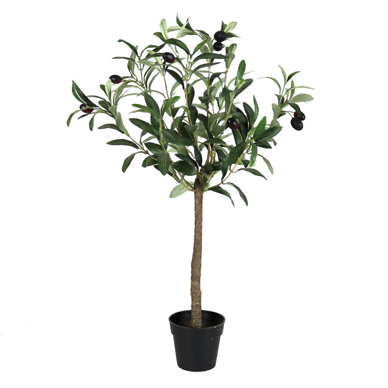 Gracie Oaks Faux Olive Tree in Pot & Reviews Wayfair Gracie Oaks Faux Olive Tree in Pot & Reviews Wayfair